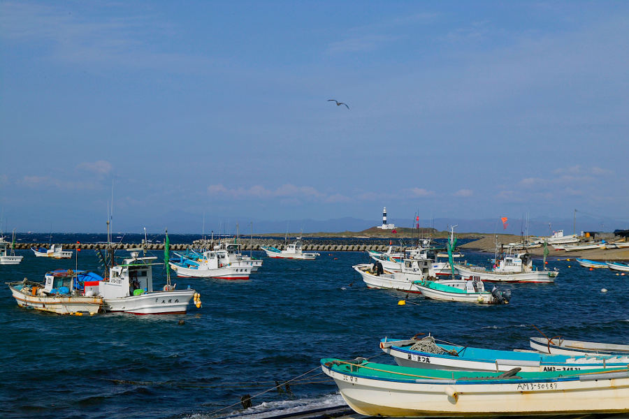 Experience what it is like to fish for Oma Tuna, Japan’s most prized bluefin tuna and a delicacy.