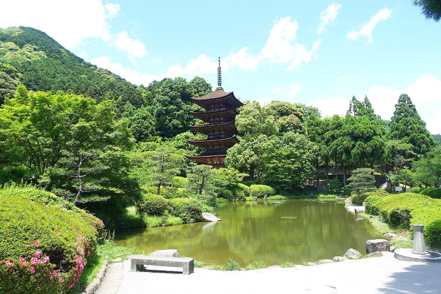 Visit pagodas, shrines and castles in a seamless trekking experience.