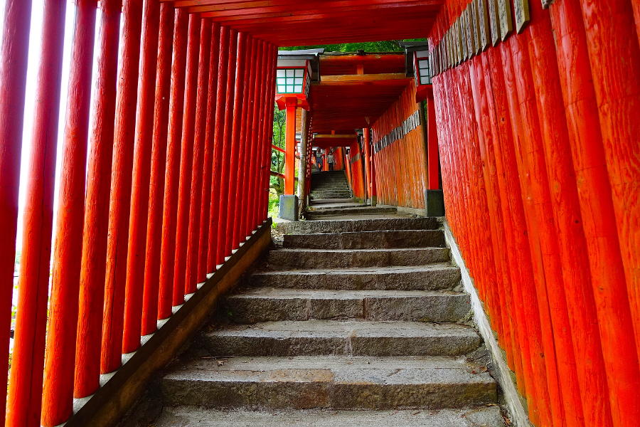 Hike along fishing villages and old samurai towns. Walk ancient roads that shaped the history of Japan.