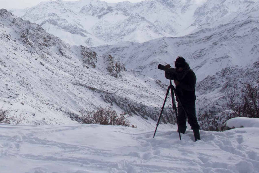 Increase your chance of sighting the Himalayan Ghost with expert local trackers to guide and aid you.