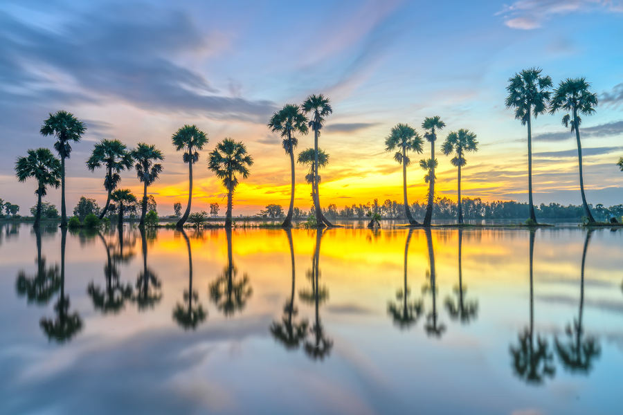Explore the heart of Southeast Asia, visit remote villages, temples and natural wonders that are best reached by Cambodia’s waterways.