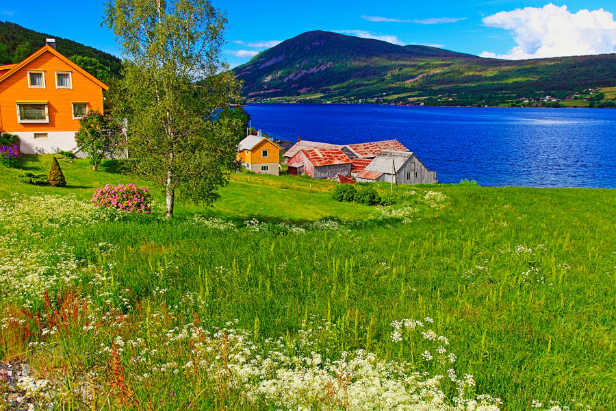 Meet local farmers and learn of the traditional lifestyles at the fjords.