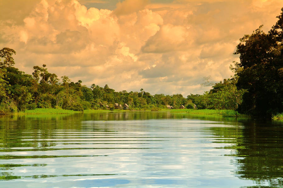 Through this ethical travel initiative, you will help preserve this unique ― and vital ― ecosystem.