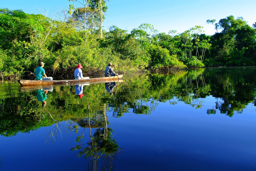 Spot wildlife, go for walks deep into the rainforest, kayak in the river, and enjoy the assistance of expert guides.