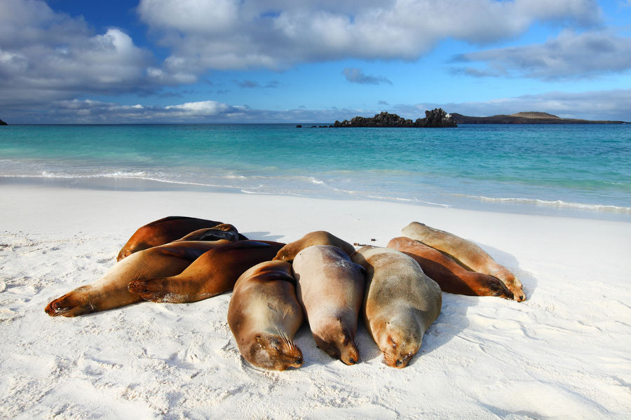 Extend your stay and yield to the enchantment in a one-of-a-kind eco-lodge.