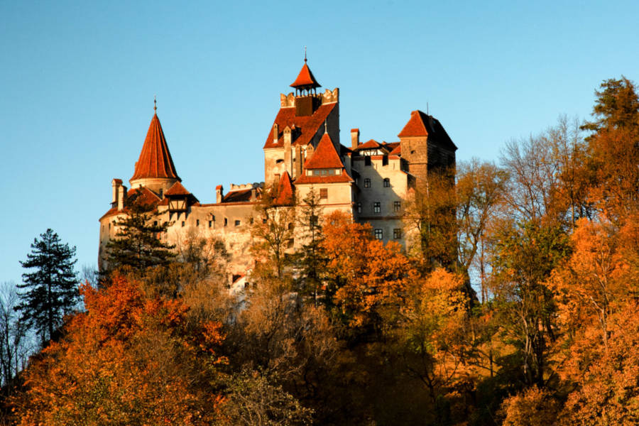 All our experiences benefit local communities directly, helping to maintain Transylvania's traditions.
