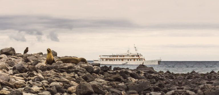 Grace Kelly Yacht Galapagos