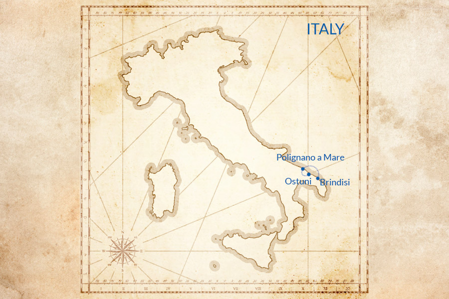 Trip map