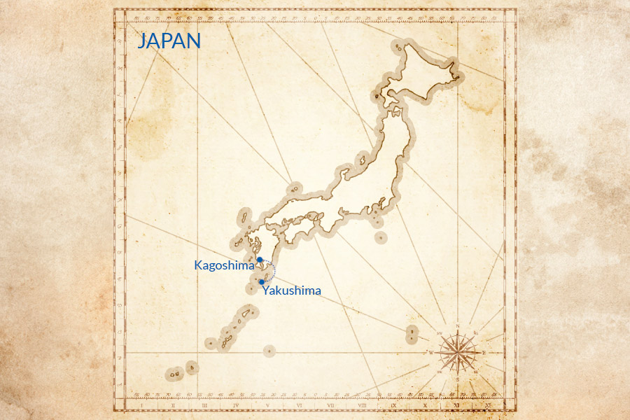 Trip map