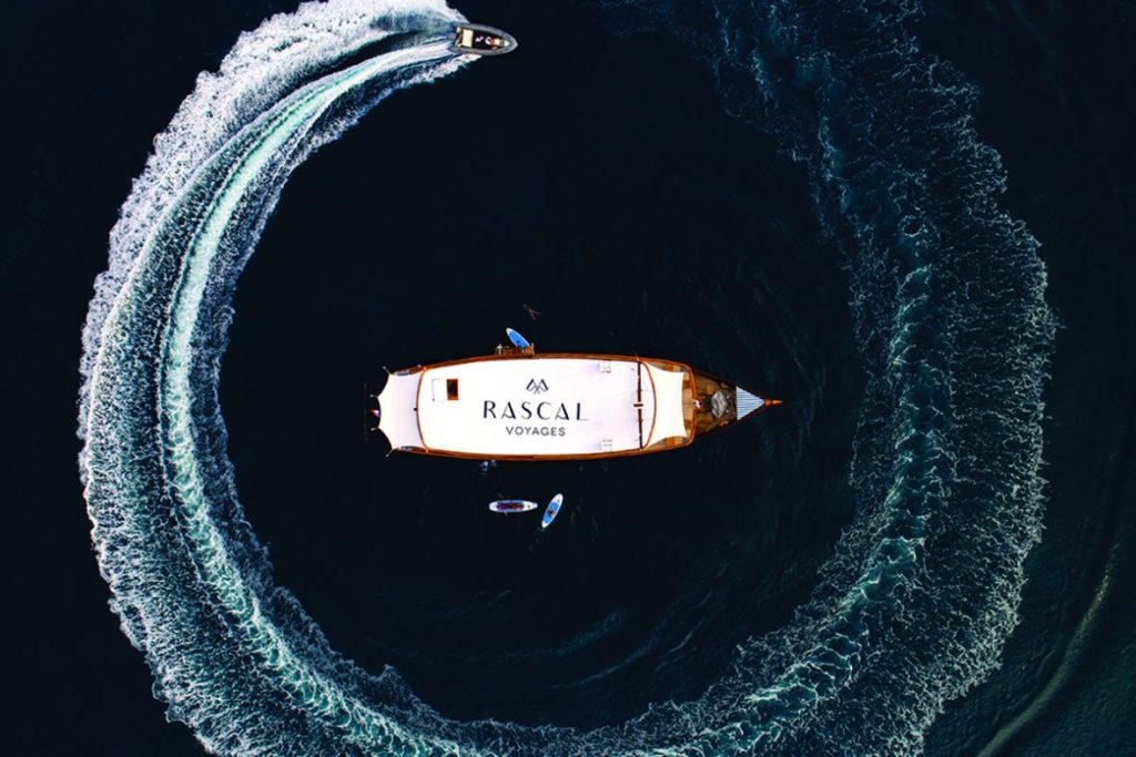 Partake in joint expeditions between Rascal Voyages and Conservation International.