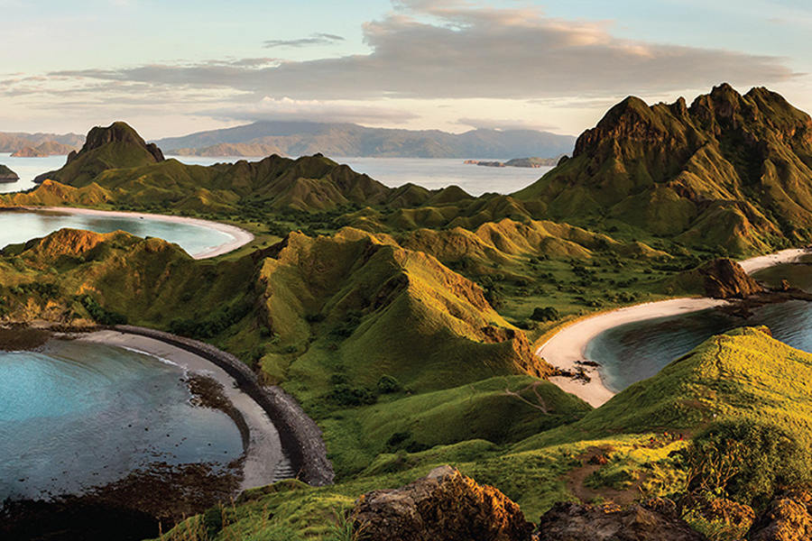 Explore far reaches of the Indonesian Archipelago as you aid in important conservation activities.