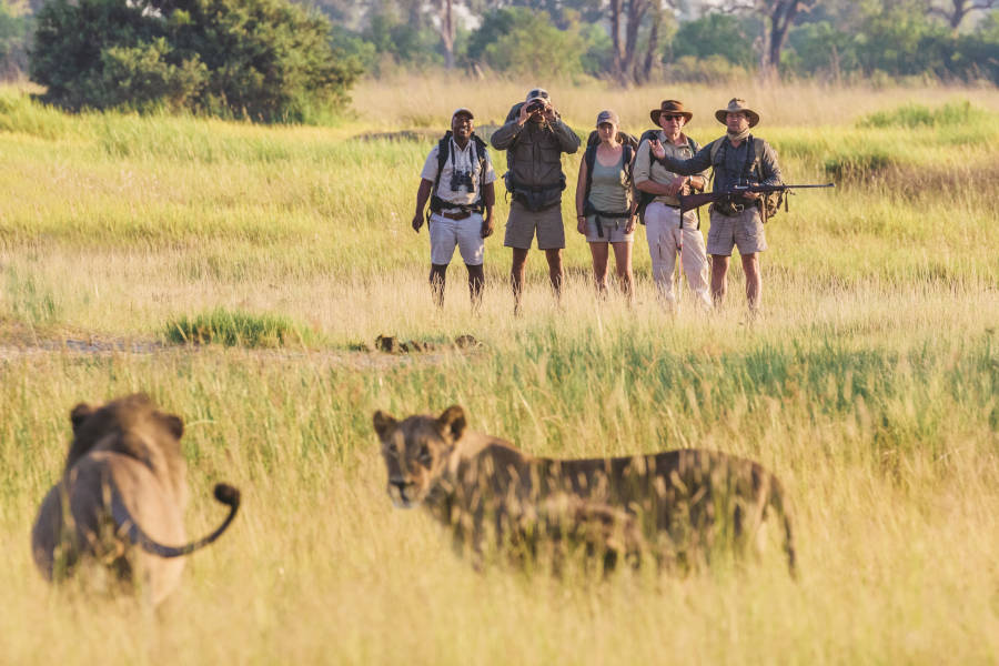 Experience the purest form of Safari
