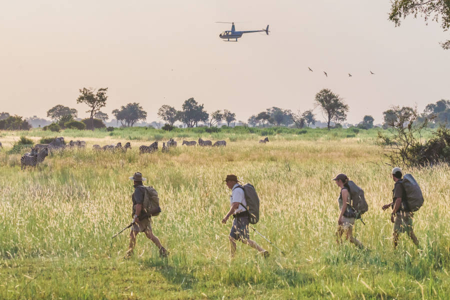 Reach inaccessible, impassable and remote areas of Botswana by helicopter