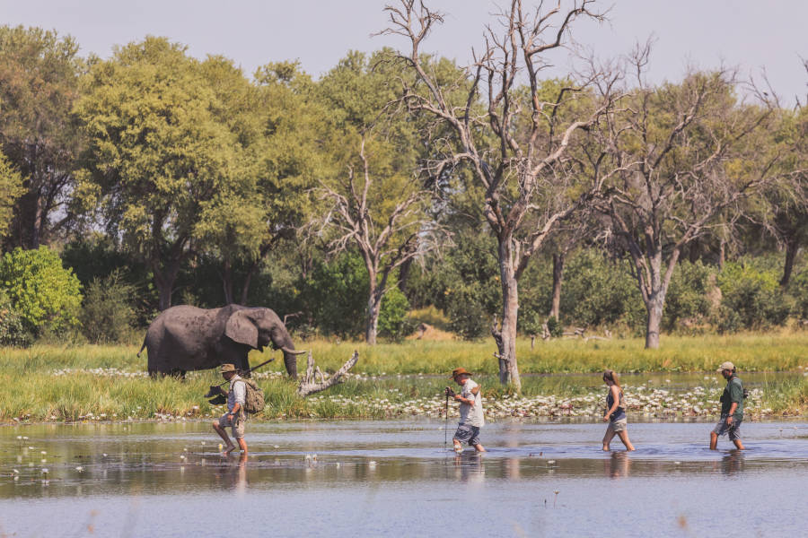 Cross difficult terrain, track wildlife, discover what it means to truly live the bush