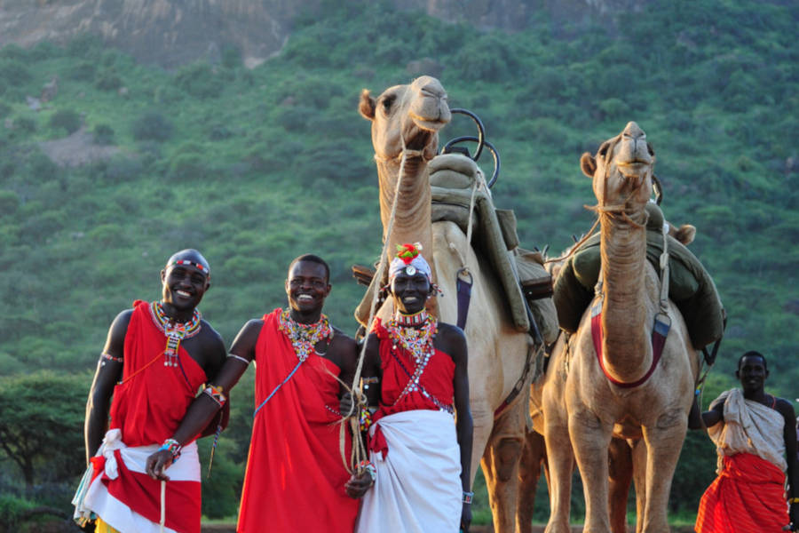 Every safari is customised to your family or your group. No two safaris are alike!