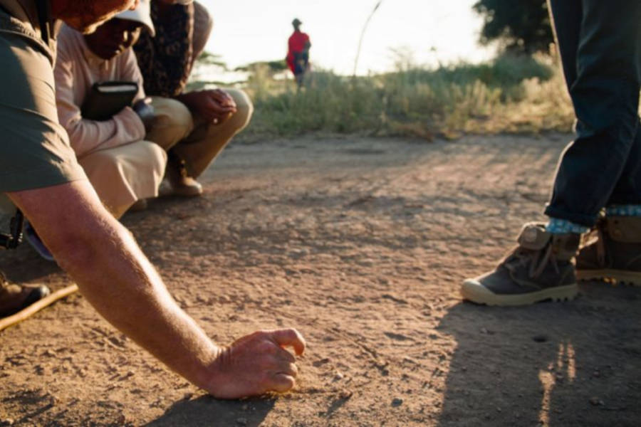 Interact more closely with your surroundings and let the soul of Africa reveal itself to you.