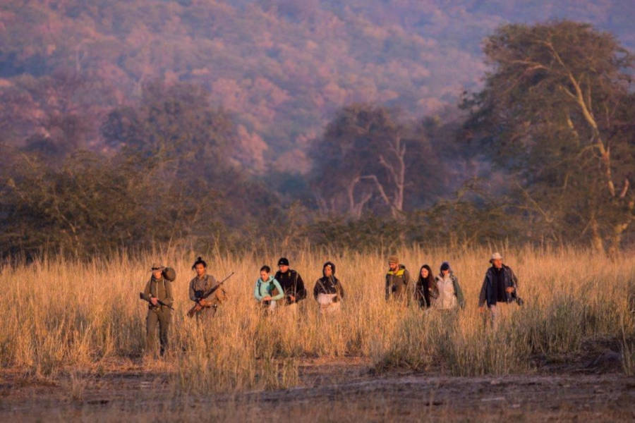 Stay in a remote concession in Kruger Park, not open for tourists.
