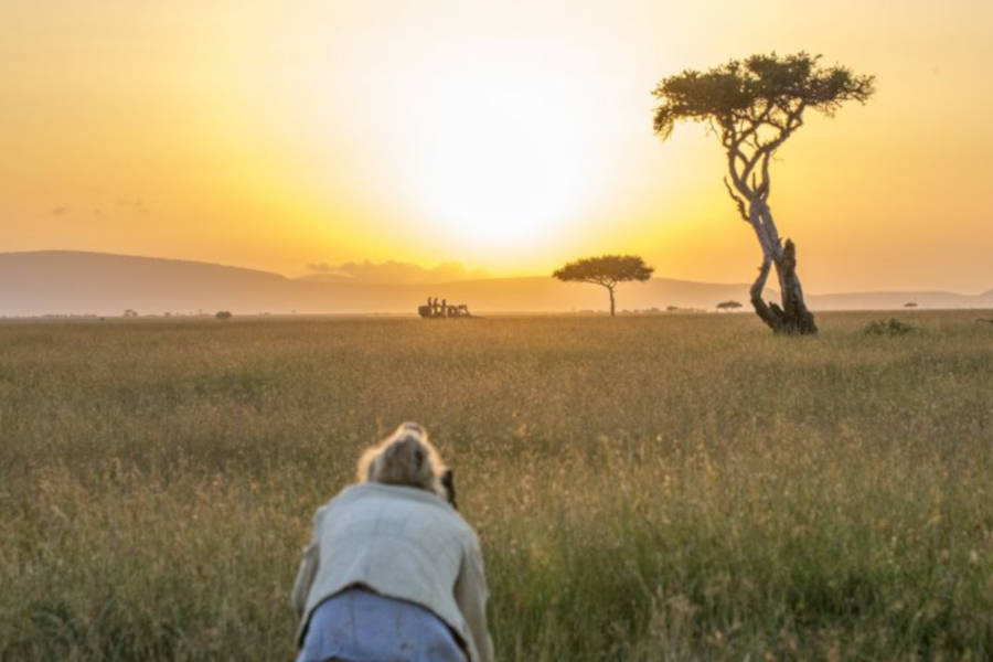Join a professional photographer and safari legend in an adventure worthy of an action-packed wildlife documentary.