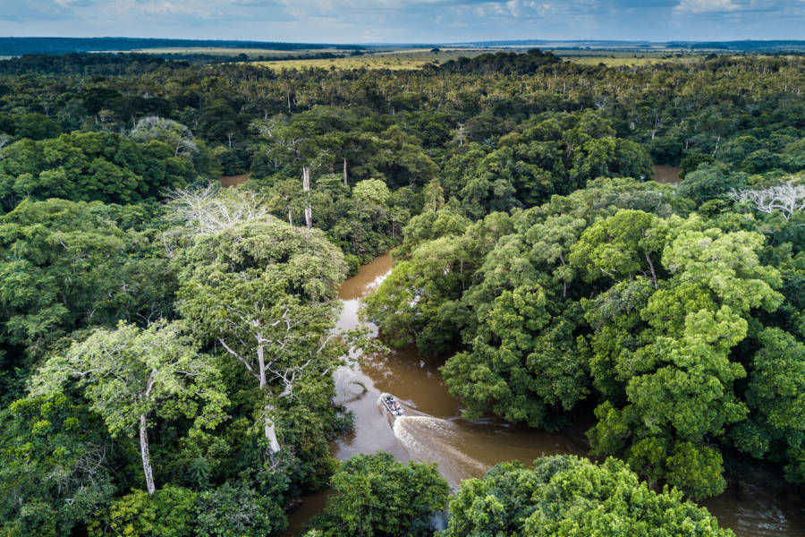 Explore three different areas of Odzala, from dense jungles to sprawling savannahs and wetlands