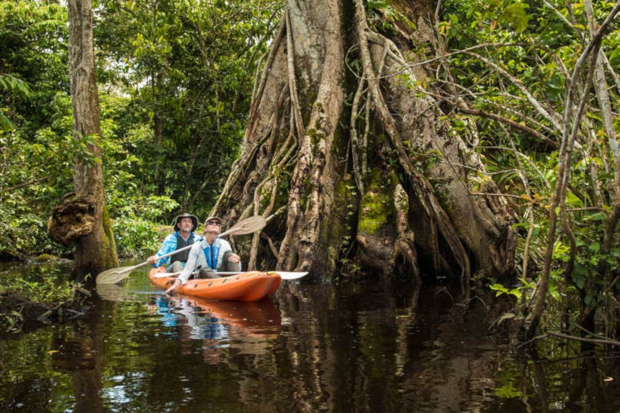 Take part in exclusive activities such as night walks through the forest and kayaking through jungle waterways