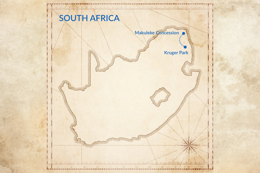 Trip map