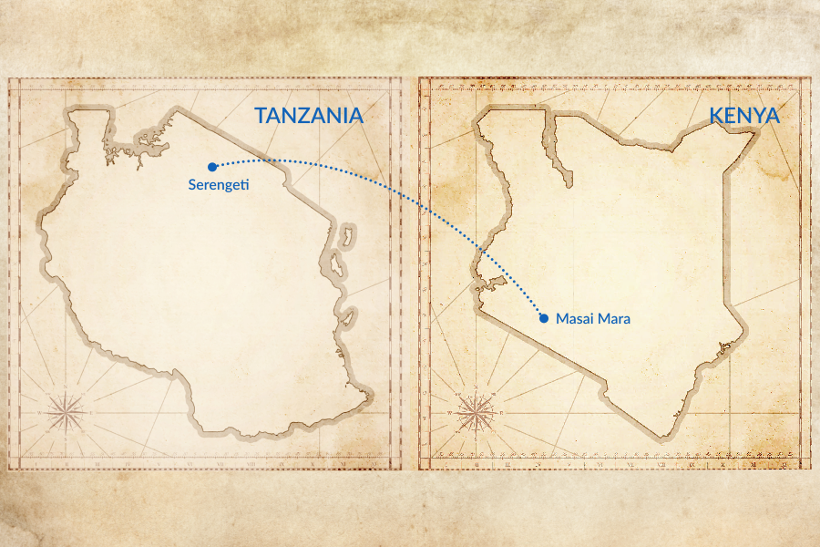 Trip map