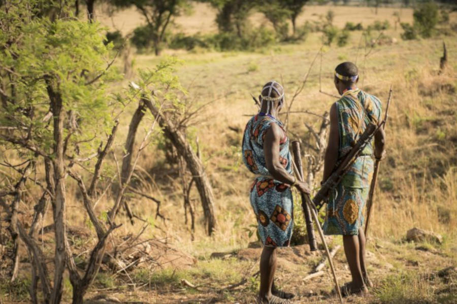 Experience the Hadzabe culture and learn the wisdom that allows them to read the signs of the bush.
