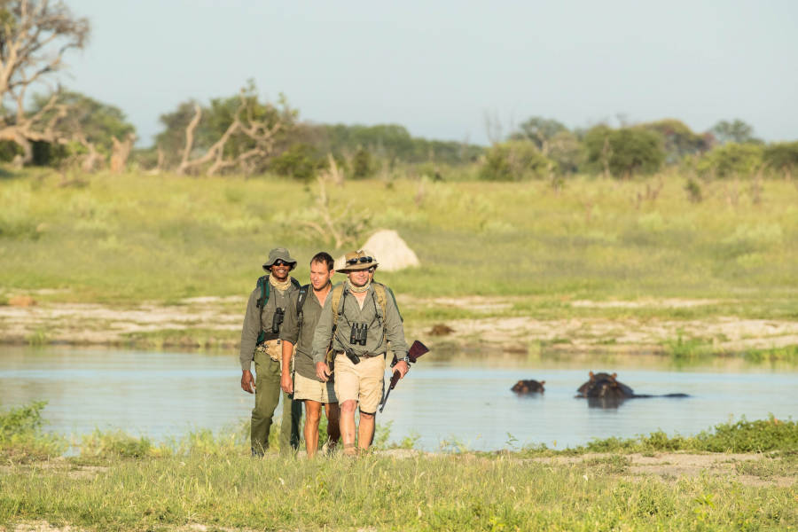 An armed guide and an expert tracker will guide you all the way