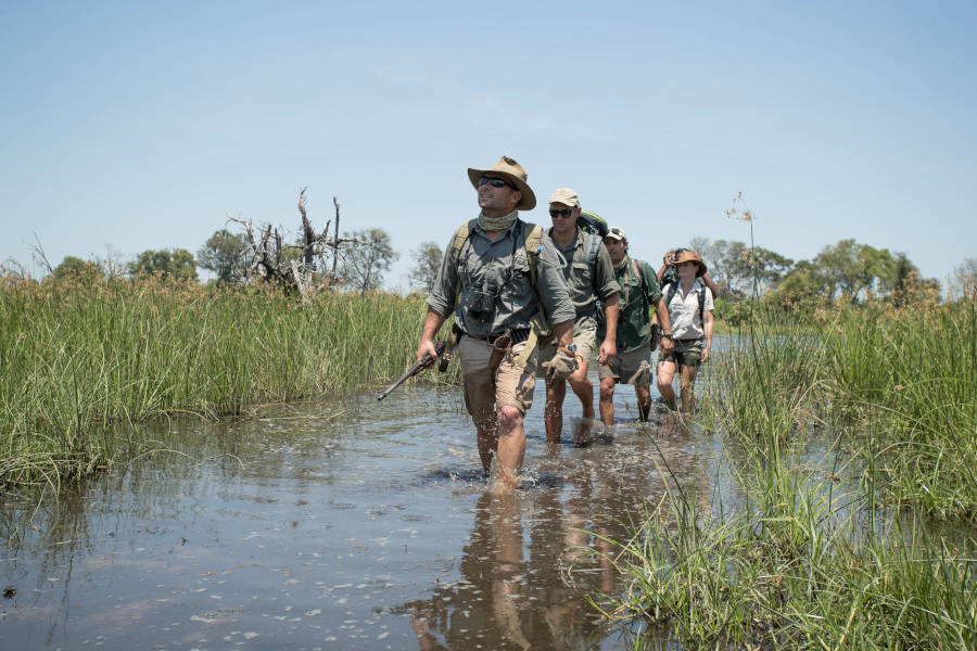 Expert, armed guides and trackers will deliver the experience of a lifetime