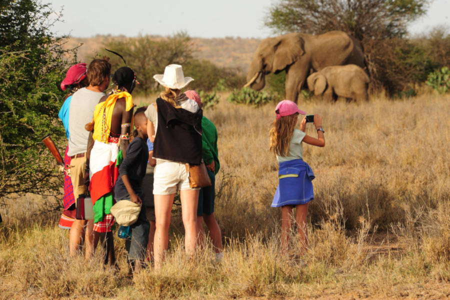 Reach areas vehicles can’t and experience the wonders of a walking safari.