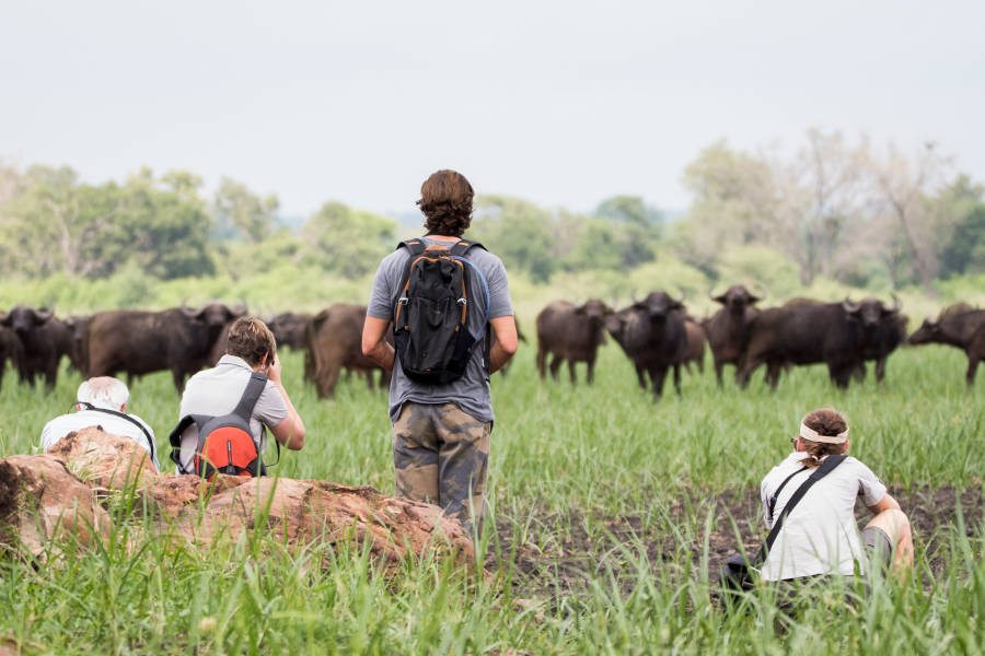 Learn skills —such as navigation— that will last you a lifetime.