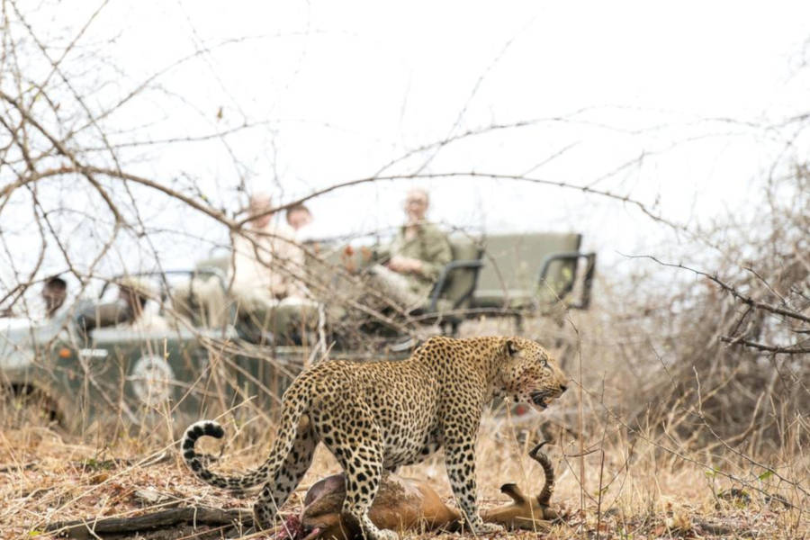 Our expert guides know how to get you close enough for that perfect shot