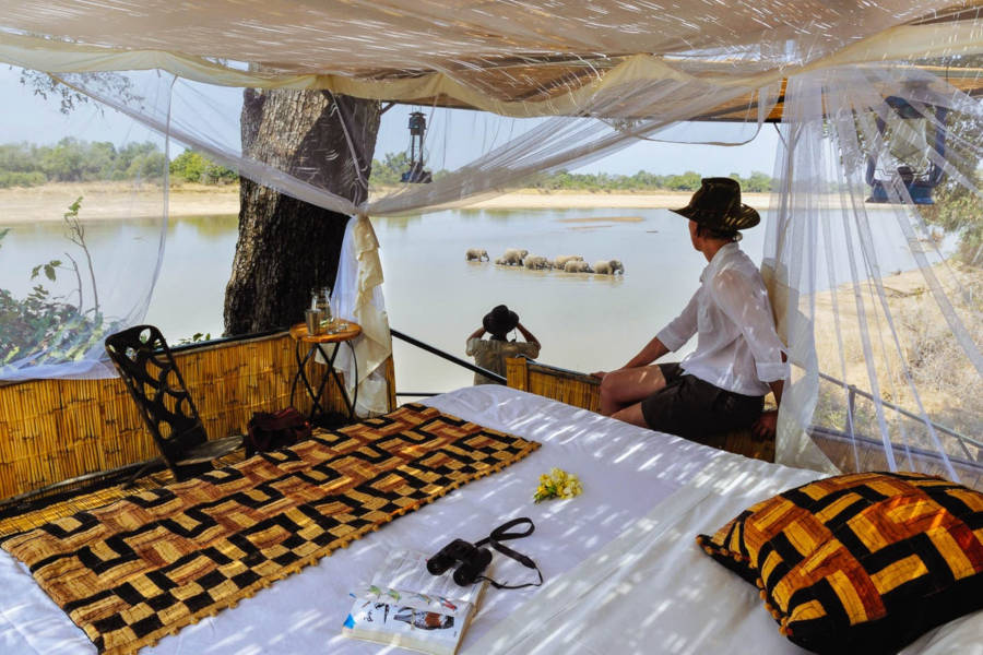 Stay in camps that are right next to wildlife viewing spots