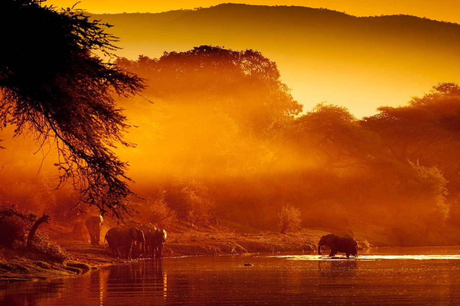 Discover South Luangwa, one of the greatest wildlife sanctuaries on Earth
