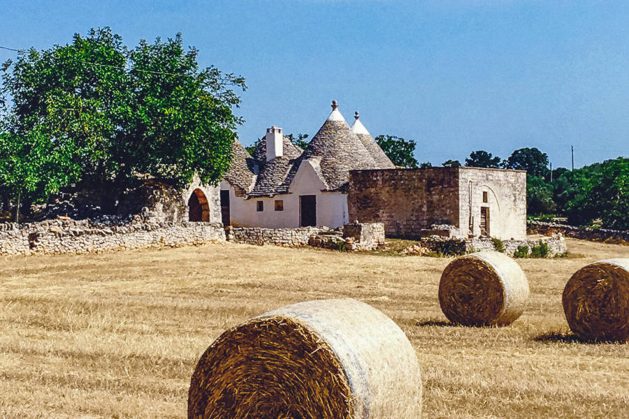 Visit farms and orchards that have been in use since the Bronze Age.