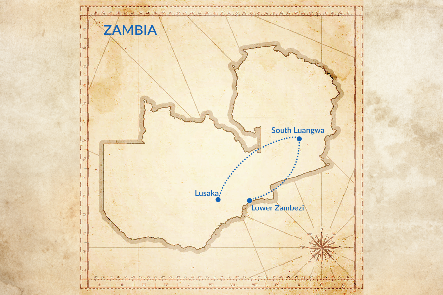 Trip map