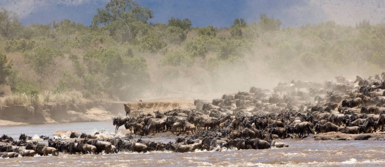 Kenya Tanzania Safari Travel Big Migration