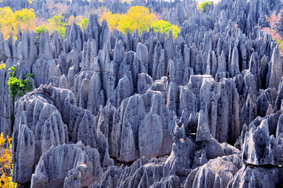 Explore Madagascar’s northern parks, full of unique, endemic life and geological wonders right out of a dream.