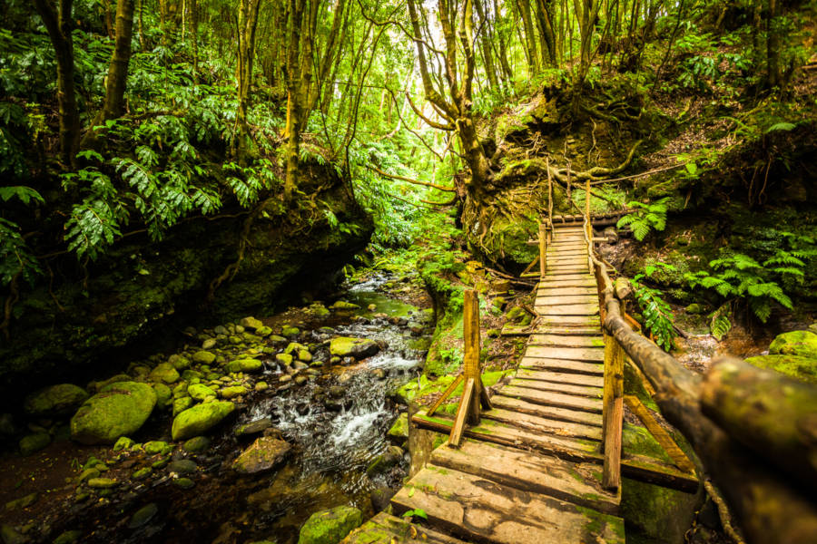 Travel along the Ohenro Trail, an ancient pilgrimage that leads to innermost Japan.