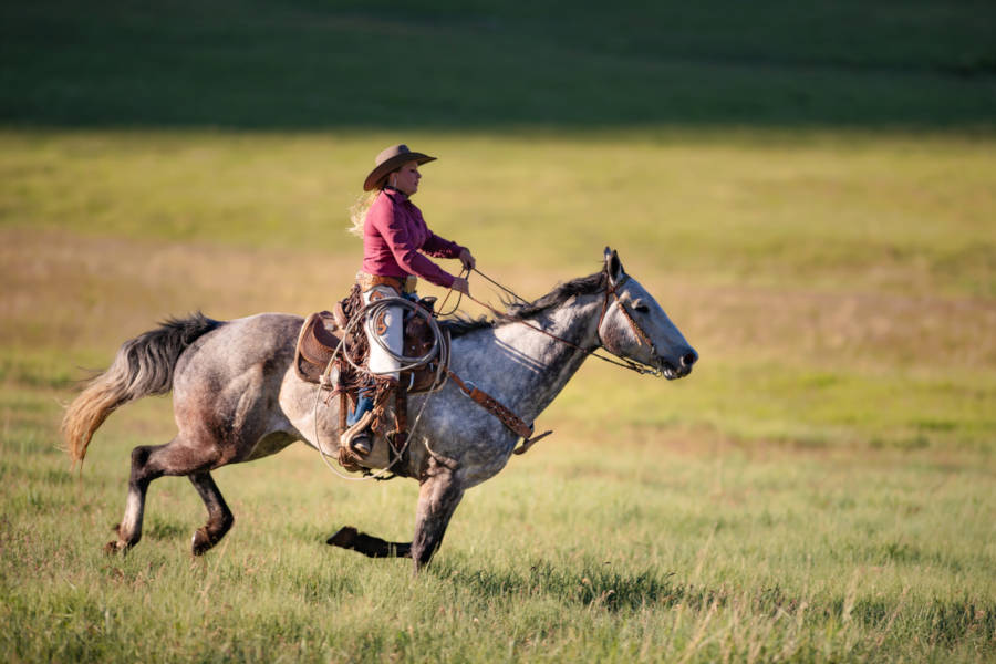 Learn the basic skills to become a cowboy, from saddling your horse to a couple of handy rope tricks.