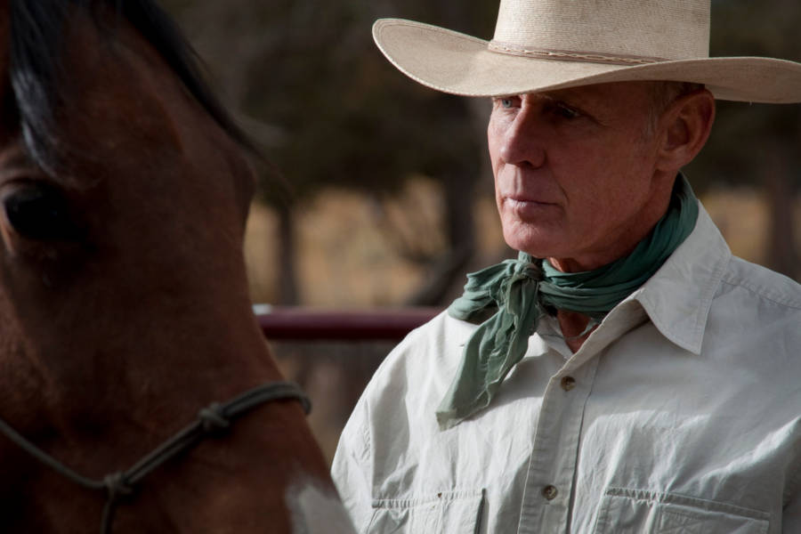 Tame wild stallions and learn the secrets of a horse whisperer.