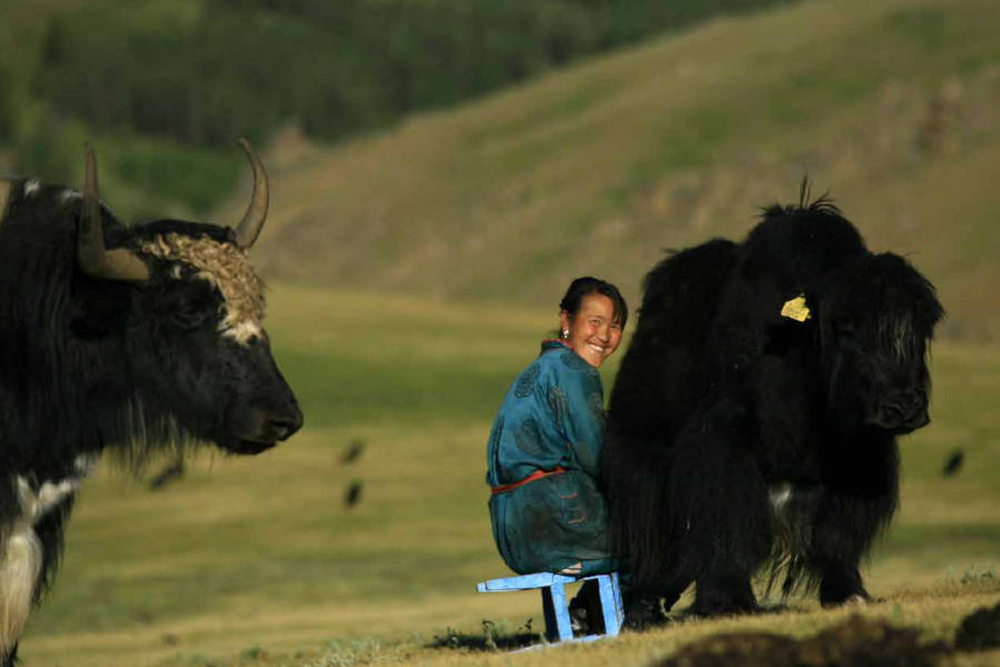 A family of herders will host your visit so you can truly experience the nomadic life.