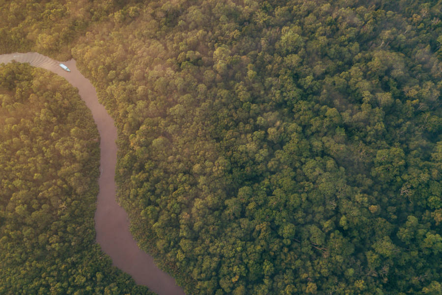 Reach Borneo’s remote ecosystems on a river cruise that will take you to the heart of this mysterious island.