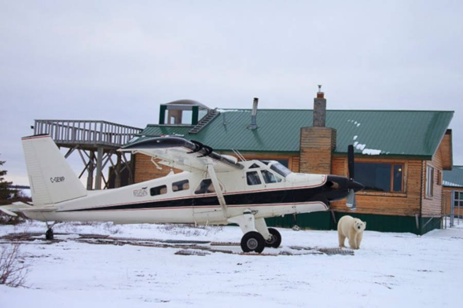 Stay at an exclusive eco-lodge that bears just love to visit.