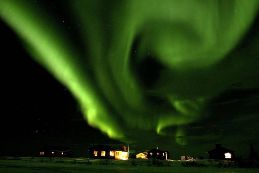 With some luck, the night skies will put on a show of their own.