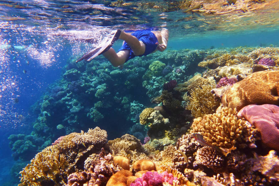 Enjoy snorkelling, diving, golfing and sailing… It’s up to you!