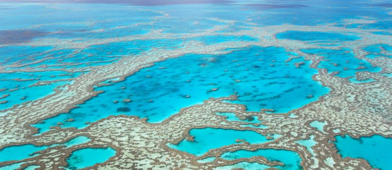 The Great Barrier Reef