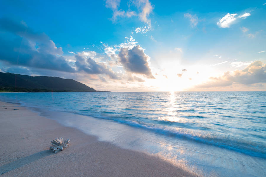 Enjoy balmy weather and pristine beaches, as you island-hop around the archipelago in search of your ideal refuge.