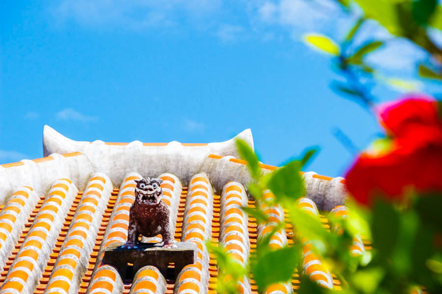 Discover unique cultures, precious natural surrounds and mysterious monuments.