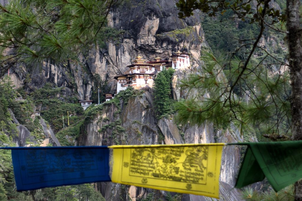 Travel for Wellbeing
